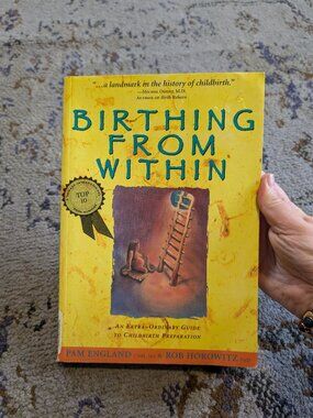 Birthing from Within: An Extra-Ordinary Guide to Childbirth Preparation